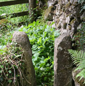Stoops - Carsington & Hopton Character Appraisal